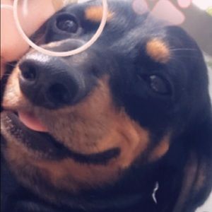 Meet your Posher, Andrea